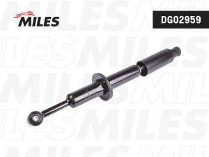 MILES DG02959