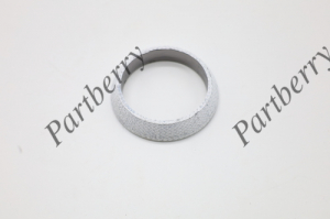 PARTBERRY PB120003
