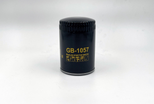 BIG FILTER GB1057