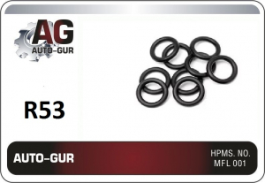 AUTO-GUR R53