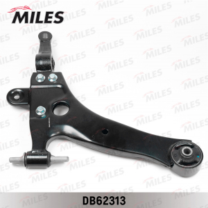 MILES DB62313