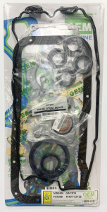 OEM GENUINE GASKET 1010172Y25G