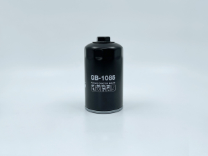 BIG FILTER GB1085