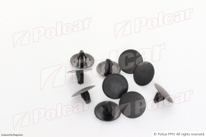 POLCAR 3105261