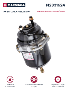 MARSHALL M2831624