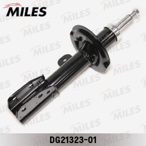 MILES DG2132301