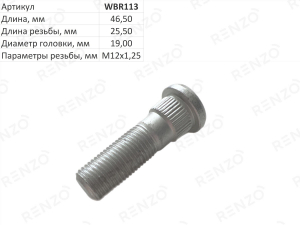 RENZO WBR113