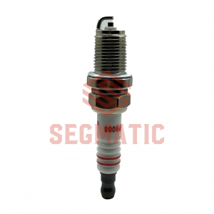 SEGMATIC SGSP9008