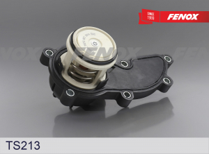 FENOX TS213