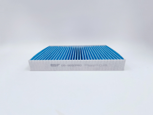 BIG FILTER GB9892PRO