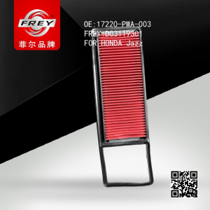 FREY D03119301