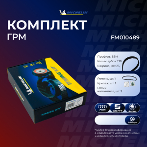 MICHELIN FM010489