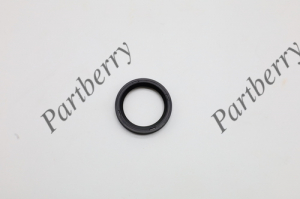 PARTBERRY PB132924