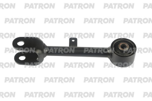 PATRON PS51568