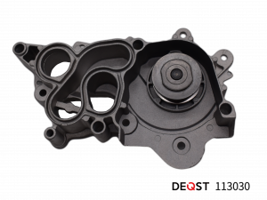 DEQST 113030