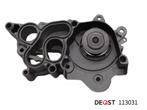 DEQST 113031