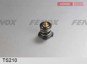 FENOX TS210
