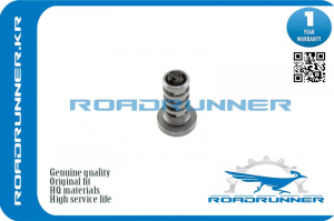 ROADRUNNER RR06H109257C