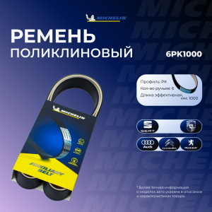 MICHELIN 6PK1000