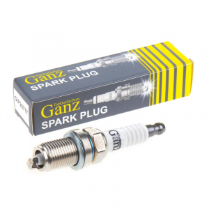 GANZ GIP26717