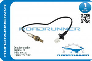ROADRUNNER RR8946512600