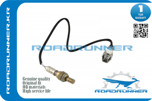 ROADRUNNER RR8946548250