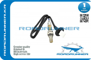 ROADRUNNER RR8946520740