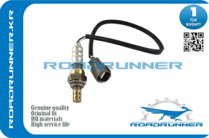 ROADRUNNER RR8946544080