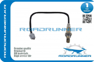 ROADRUNNER RR8946542160