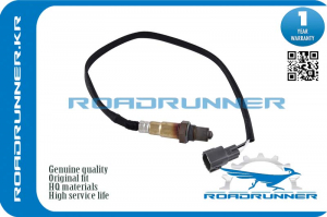 ROADRUNNER RR894650K010