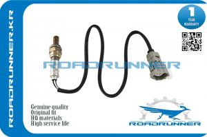 ROADRUNNER RR894650E130