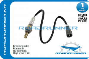 ROADRUNNER RR8946568010