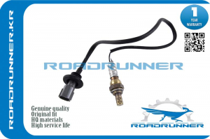 ROADRUNNER RR8946547070