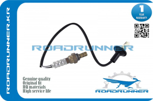 ROADRUNNER RR8946512610