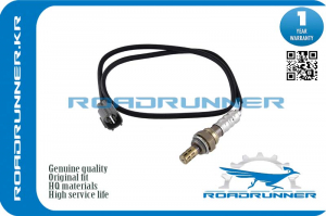 ROADRUNNER RR8946533331