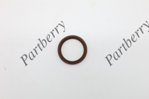 PARTBERRY PB563620