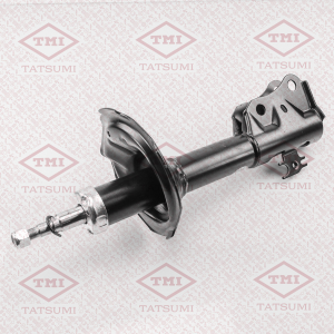TATSUMI TAA1016