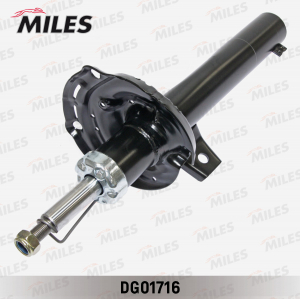 MILES DG01716