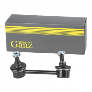 GANZ GIK10091