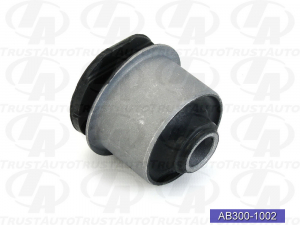 TRUSTAUTO AB3001002