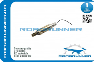 ROADRUNNER RR8946513020