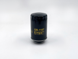 BIG FILTER GB1107