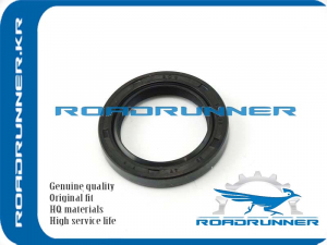 ROADRUNNER RR1351088G10