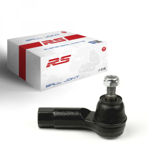 RS RECORD RS10093813