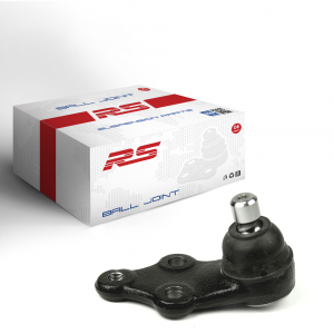 RS RECORD RS10052500