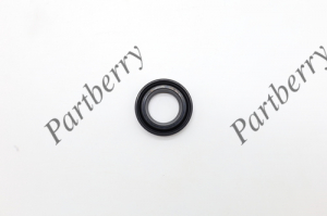 PARTBERRY PB132932