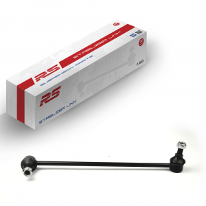 RS RECORD RS10041131