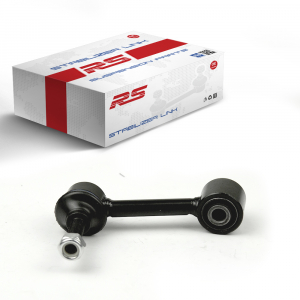 RS RECORD RS10040546