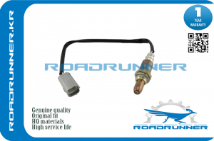 ROADRUNNER RR226931AA0A