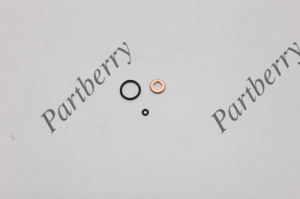 PARTBERRY PB192915